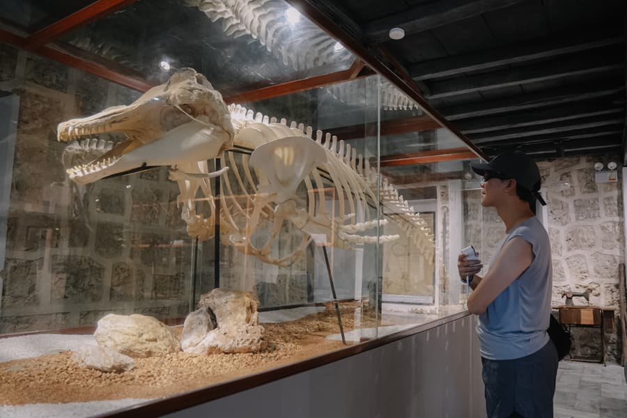 Heritage & Museum Tour with Papagabs Travel and Tours