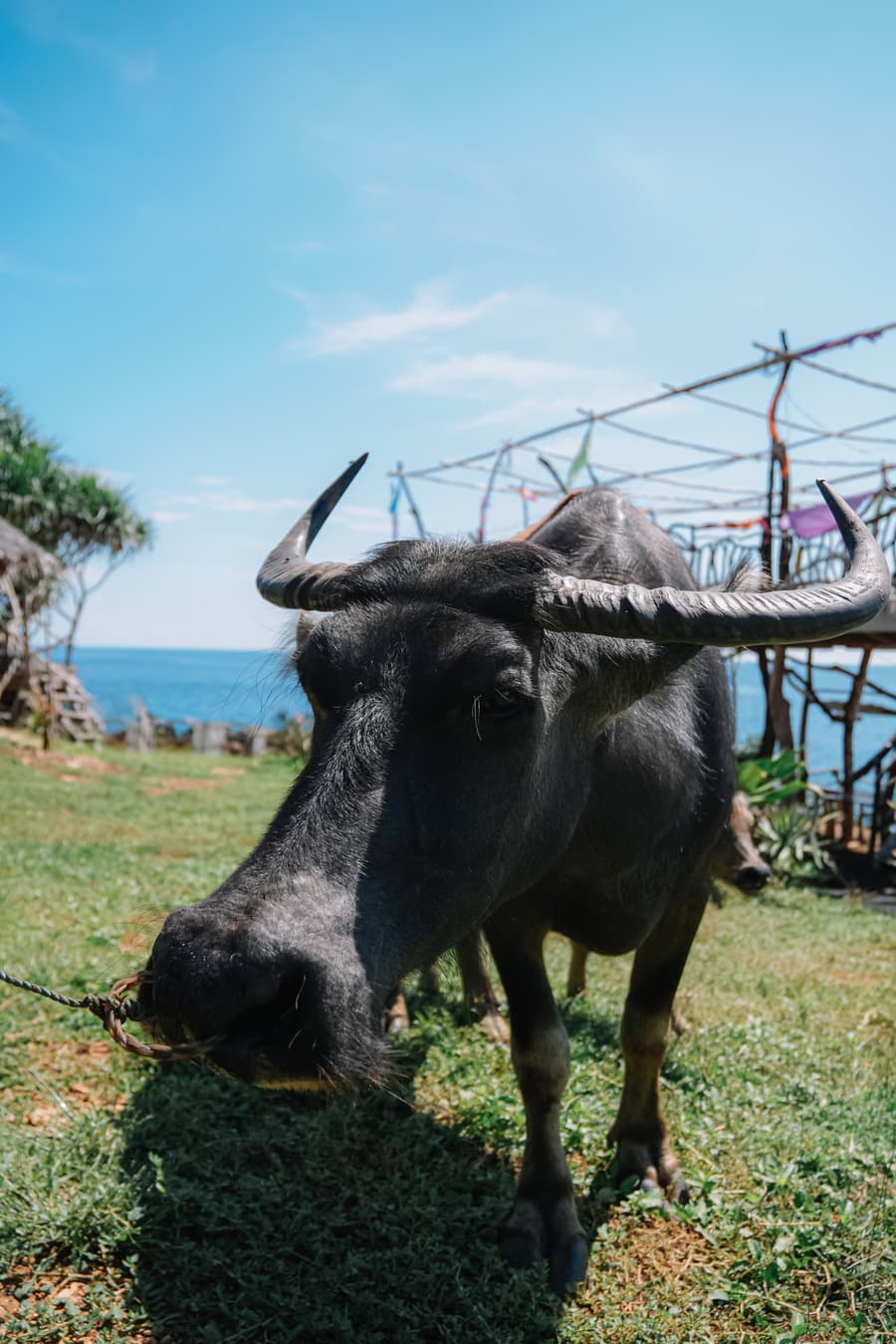 Farm & Countryside with Papagabs Travel and Tours